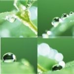 アセトン　代替　シンナー　ジクロロメタン