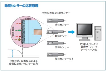 味覚センサー　味認識装置　味覚分析装置　原理　味　数値化