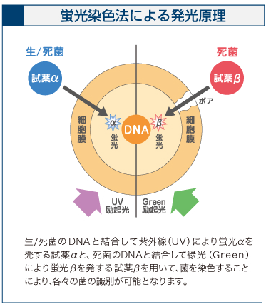 微生物迅速検査装置バイオプローラ