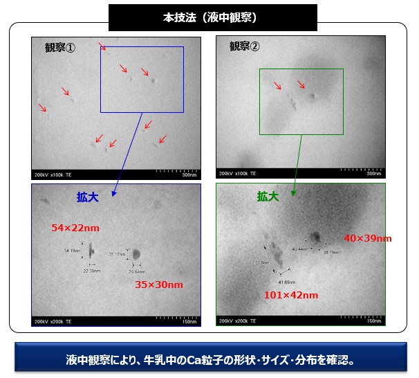 受託分析　TEM