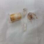 フィルター　分析　受託分析