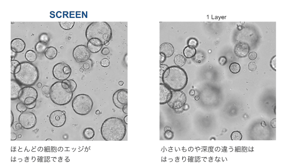 Cell3iMager NX 明視野撮像での全焦点画像の取得