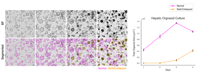 Cell3iMager NX Deep Learning プラグイン