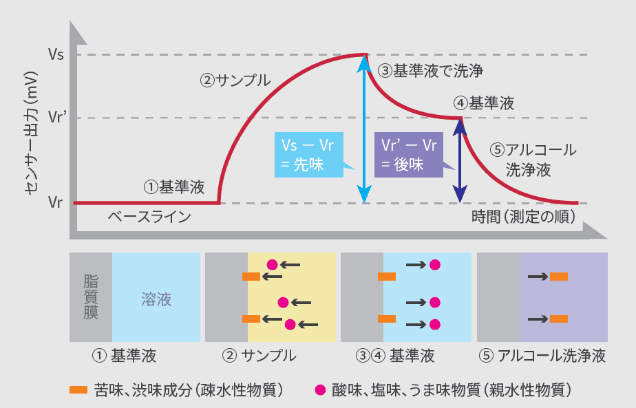 味覚センサー　TS-6000A　独自の測定手法で先味・後味を評価