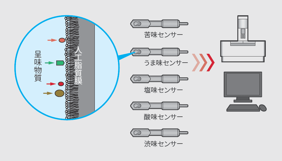 味覚センサー　TS-6000A　ヒトの舌を模倣したセンサー設計